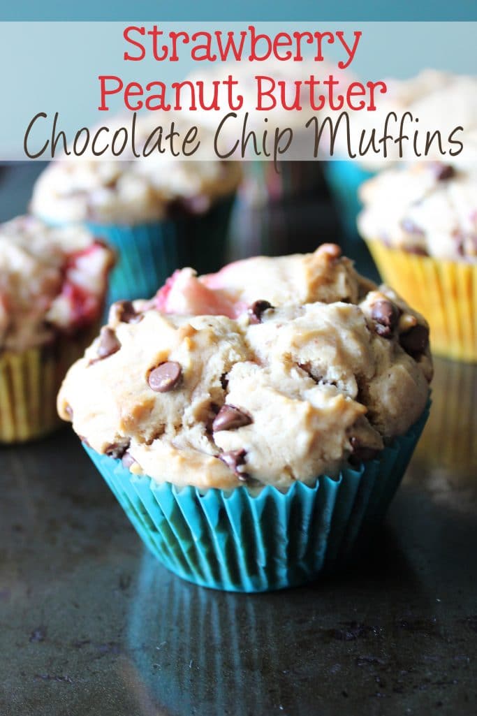 Chunks of fresh strawberries, hints of peanut butter, and chocolate chips make these strawberry peanut butter chocolate chip muffins the perfect muffin!