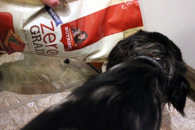 Rachael Ray Nutrish Zero Grain Dog Food #NutrishZeroGrain #sponsored