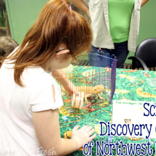 Visiting Panama City Beach, and want to spend the day doing something other than getting sandy? Check out the Science & Discovery Center of Northwest Florida! | EverydayMadeFresh.com