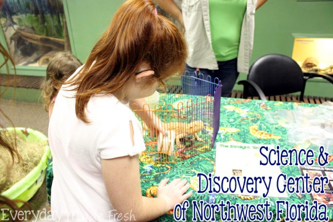 Visiting Panama City Beach, and want to spend the day doing something other than getting sandy? Check out the Science & Discovery Center of Northwest Florida! | EverydayMadeFresh.com