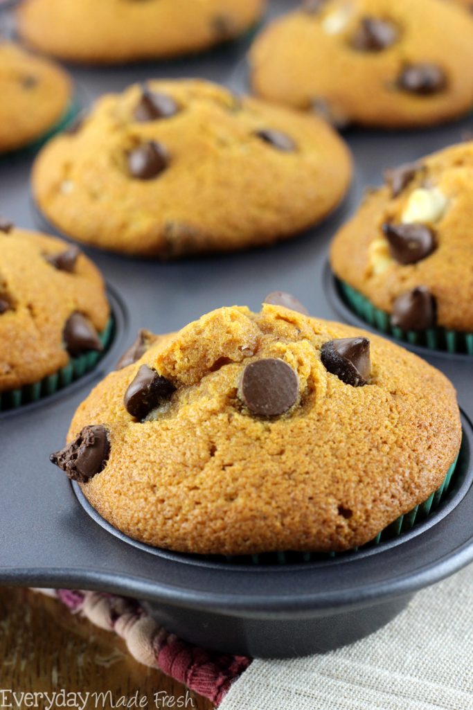 These Double Chocolate Chip Pumpkin Muffins are the best! This fall favorite is packed with spices and loaded with two types of chocolate chips! | EverydayMadeFresh.com