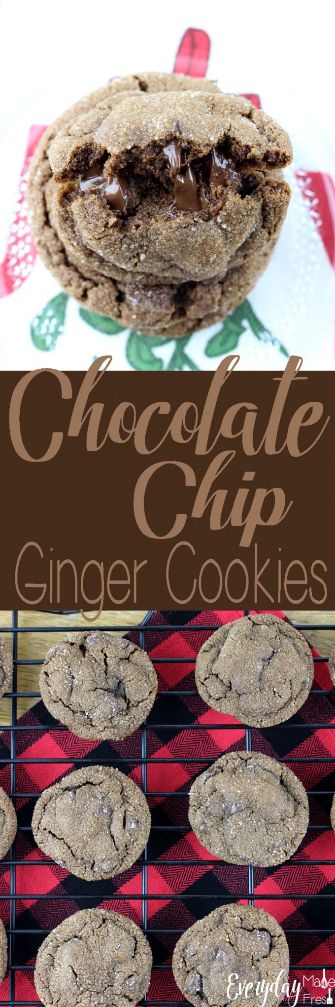 Chocolate chips stuffed inside of a cocoa ginger batter make these Chocolate Chip Ginger Cookies a holiday staple! | EverydayMadeFresh.com