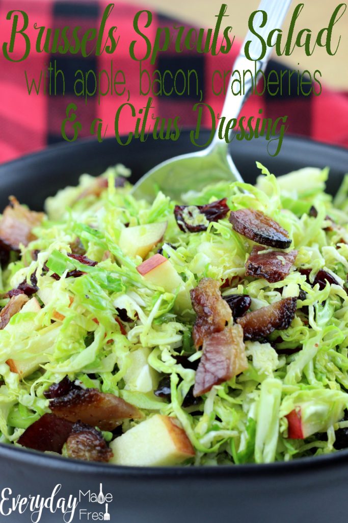 If you've never eaten sprouts fresh, you don't know what you're missing out on! You've got to give this simple recipe for Brussels Sprouts Salad with Apple, Bacon, Cranberries & a Citrus Dressing a try. Fresh, sweet, and tangy it's the perfect healthy side! | EverydayMadeFresh.com