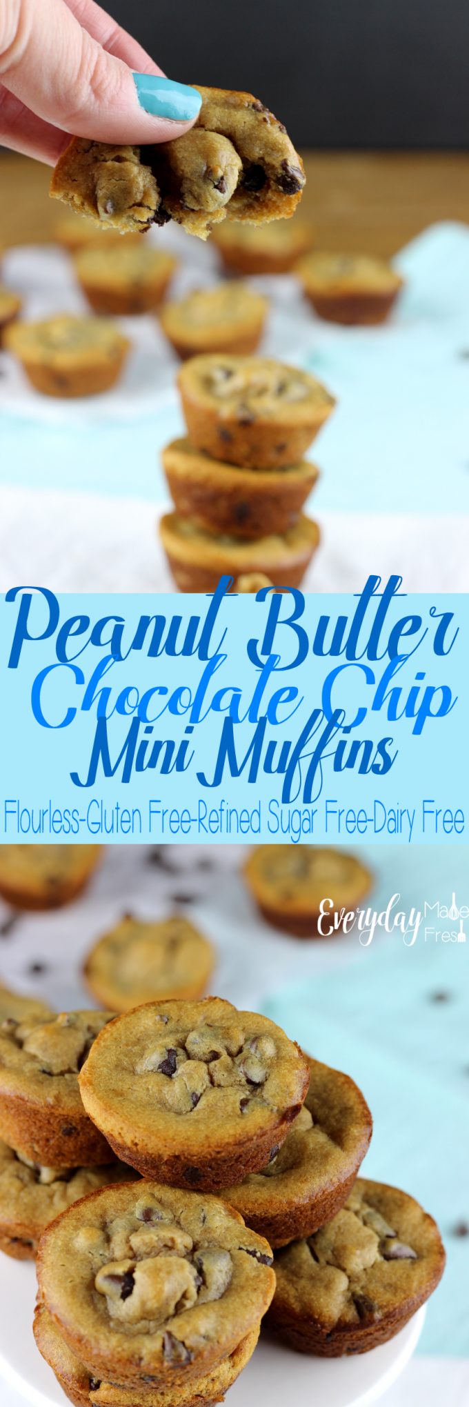 These Peanut Butter Chocolate Chip Mini Muffins are sweetened with honey, gluten free, and dairy free! They are made in a blender for a easy clean-up, and bake in less than 10 minutes. | EverydayMadeFresh.com