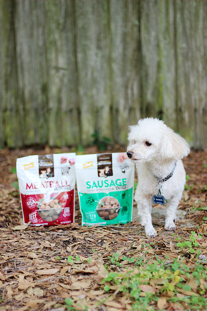 Besides going in for routine vet visits, how can you keep your furry family member healthy? After being pet parents for almost twenty years here are our tried and true: 5 Tips on Keeping Your Dog Healthy. #ad #NutrishRealMeatTreats #NutrishPets | EverydayMadeFresh.com