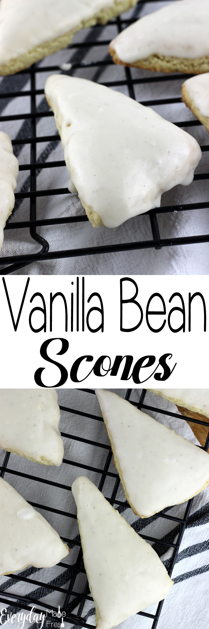 These Vanilla Bean Scones aren't petite, and they are better than Starbucks! | EverydayMadeFresh.com