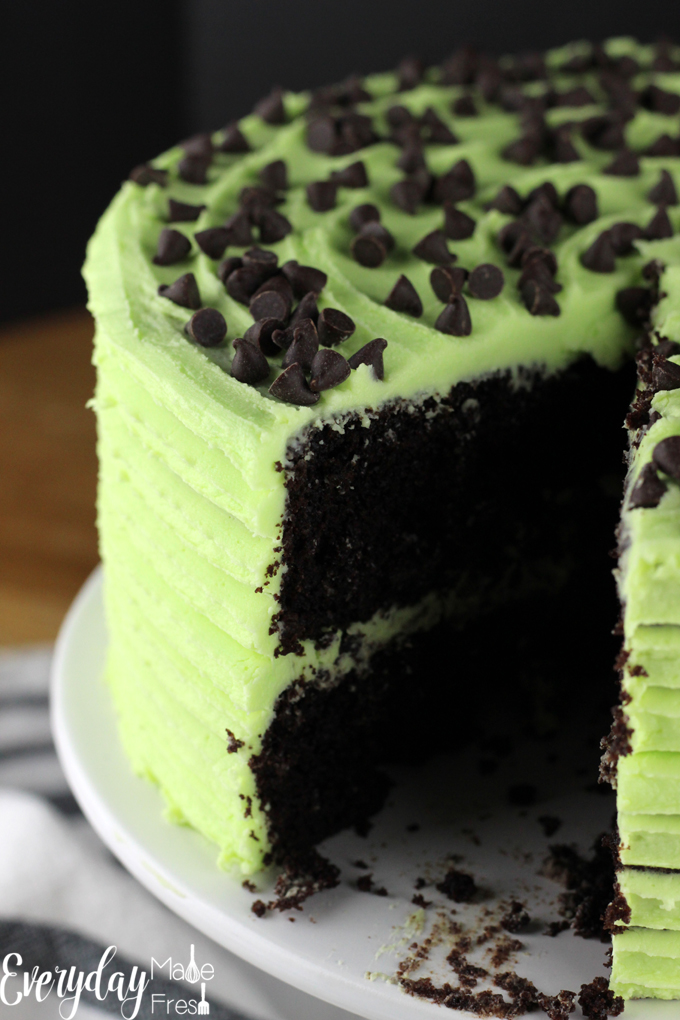 This is the only Mint Chocolate Chip Cake recipe you will ever need! Dark chocolate cake is the perfect vessel for this minty buttercream. YUM! | EverydayMadeFresh.com
