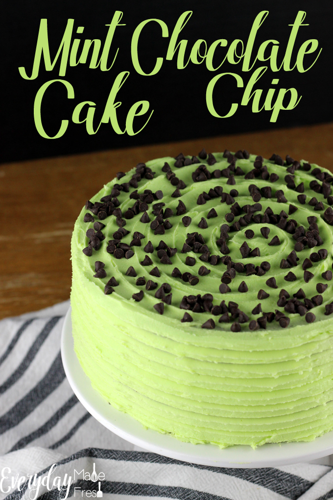 This is the only Mint Chocolate Chip Cake recipe you will ever need! Dark chocolate cake is the perfect vessel for this minty buttercream. YUM! | EverydayMadeFresh.com