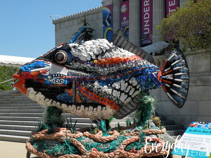 We had the pleasure of checking out Shedd Aquarium in Chicago, when we were visiting for our daughter's Navy boot camp graduation. I've put together this post for all of those that may be Visiting Chicago for PIR Weekend - Shedd Aquarium is a Must See and Do! | EverydayMadeFresh.com