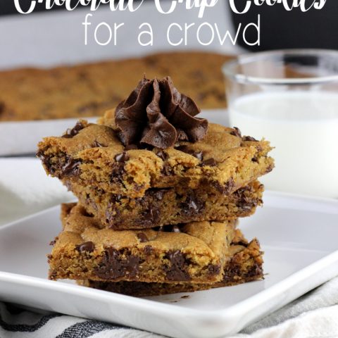 Feeding warm cookies to a crowd can sometimes take a while since you are limited to how many you can bake at one time. However, with these Sheet Pan Chocolate Chip Cookies for a Crowd, we've eliminated that problem. 24 warm cookies all on one pan! | EverydayMadeFresh.com