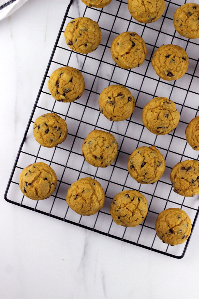 Packed with pumpkin and chocolate chips, these Mini Pumpkin Chocolate Chip Muffins are simple to make, and a great way to enjoy the flavors of fall, all in one bite!