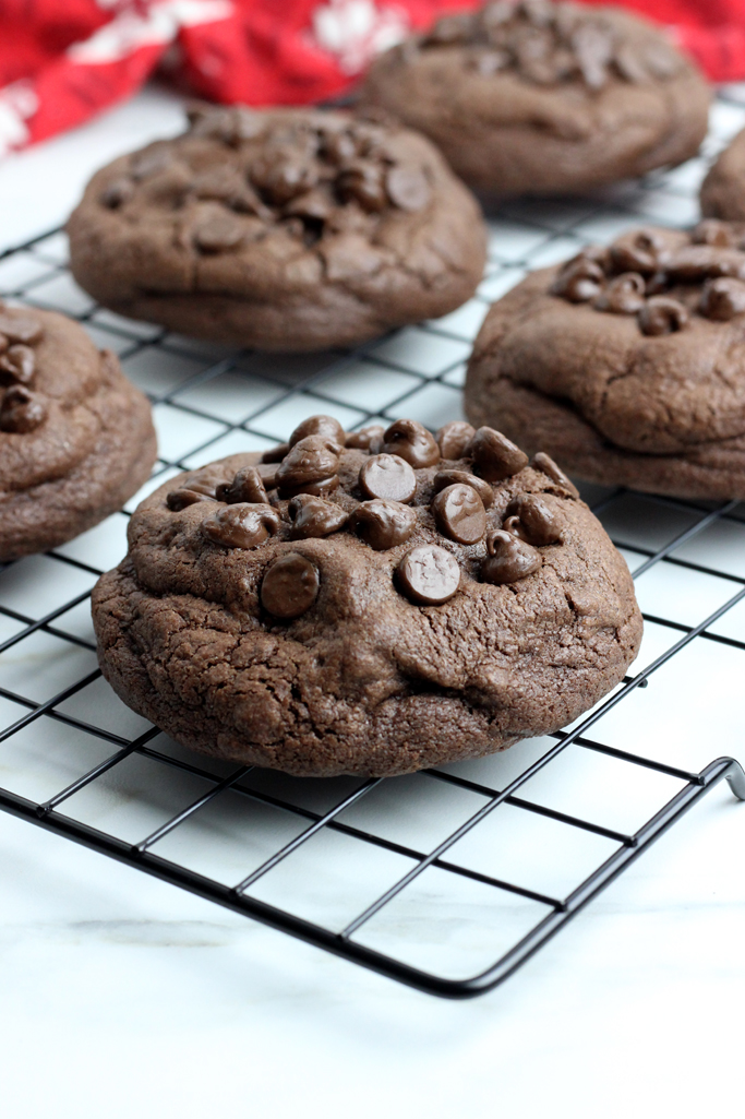 Decadent dark chocolate and chocolate chips make these Small Batch Chewy Gluten Free Chocolate Chocolate Chip Cookies the best cookie you've ever tasted!